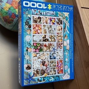 Eurographics 1000 pieces seashell collection jigsaw puzzle